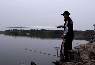 釣魚維
