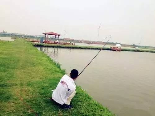 釣魚高逼格