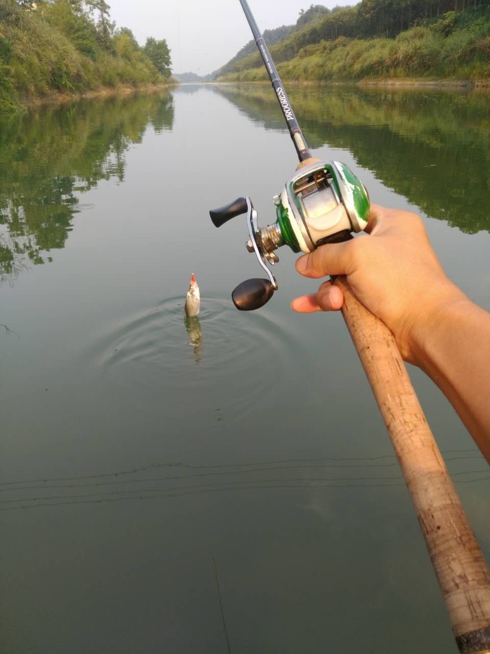 放牛哥今天的路亞日記,長江路亞鳡魚破處了_文化_網