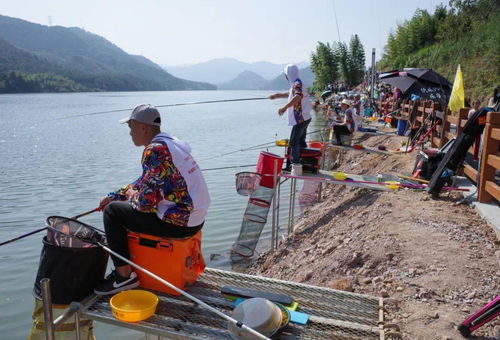 魚 你有約 今天,全國郊野釣魚大賽在建甌開賽