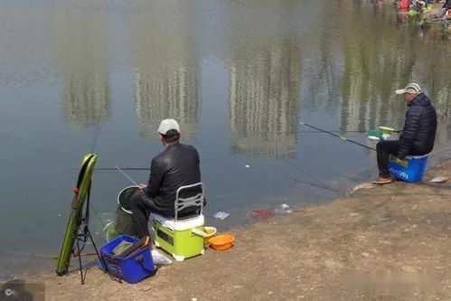 魚竿垂釣剩下的餌料直接就扔了 談?wù)劺厢炗咽侨绾翁幚淼?></a></div>
<div   id=