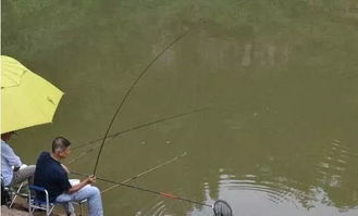 夏季釣魚準確找魚類泳層的方法