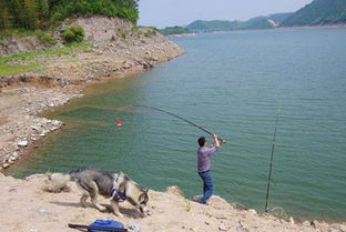 夏天要這樣選釣位才行,別提上魚率有多高 垂釣一下午釣獲十斤魚