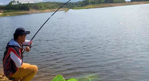 想成為釣魚高手嗎 我來教你怎么做,完全免費(fèi)