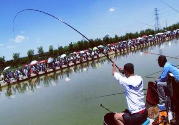 競(jìng)技釣魚比賽的選餌思路