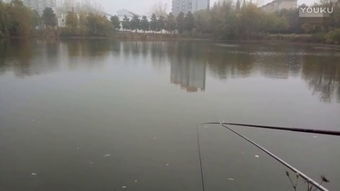 釣魚教學視頻 –