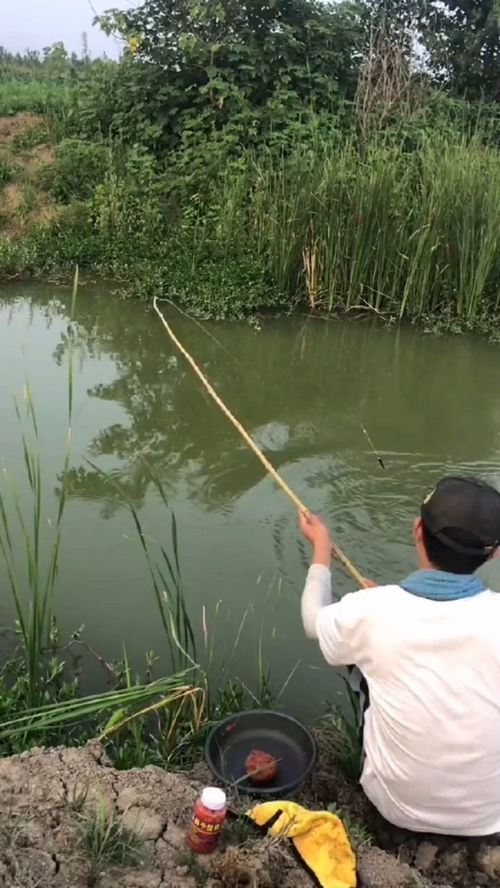 釣魚人就是這么瘋狂