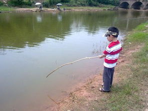 水太淺怎么釣魚