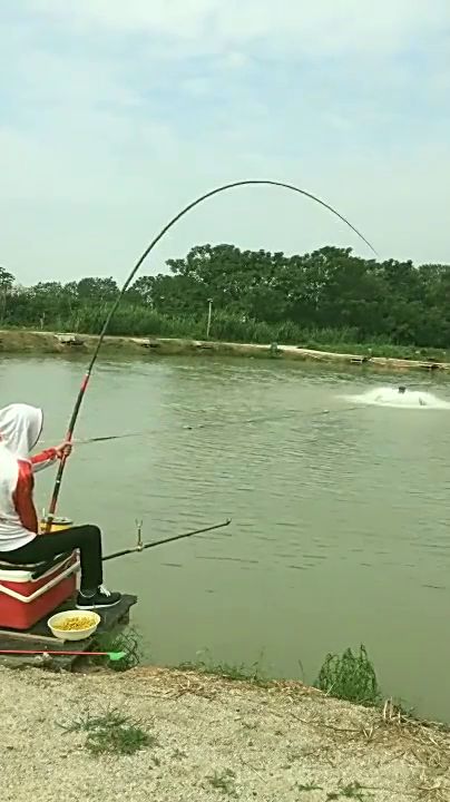 男子戶外釣魚,突然收獲大魚,起竿的姿勢(shì)太霸氣了