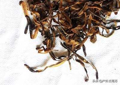 大叔因無(wú)錢購(gòu)買餌料,自制釣魚餌料效果超越市售產(chǎn)品