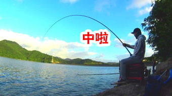 釣魚大魚 –
