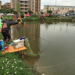 御花園釣魚場
