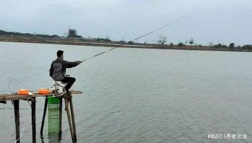 早起的釣友有魚釣 提前做好 3件事 ,野釣魚獲能翻倍