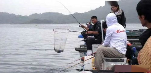 五一假期將至,愛釣魚的你了解千島湖垂釣知識嗎