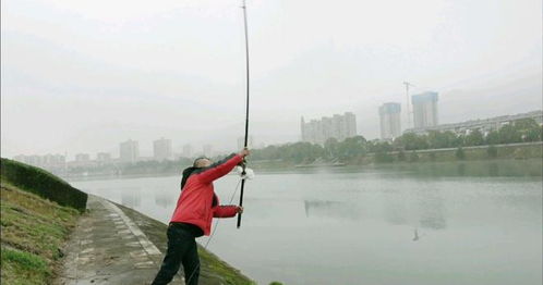 長竿如何精準拋投 只需掌握這四個技巧,竿子再長也能又穩又準
