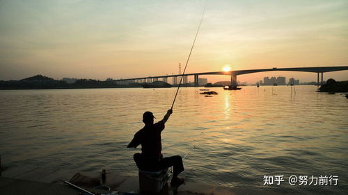 釣魚方法和技巧的區別,一招教你快速掌握,你學會了嗎