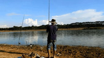 釣魚節(jié)日 垂釣的樂趣與文化