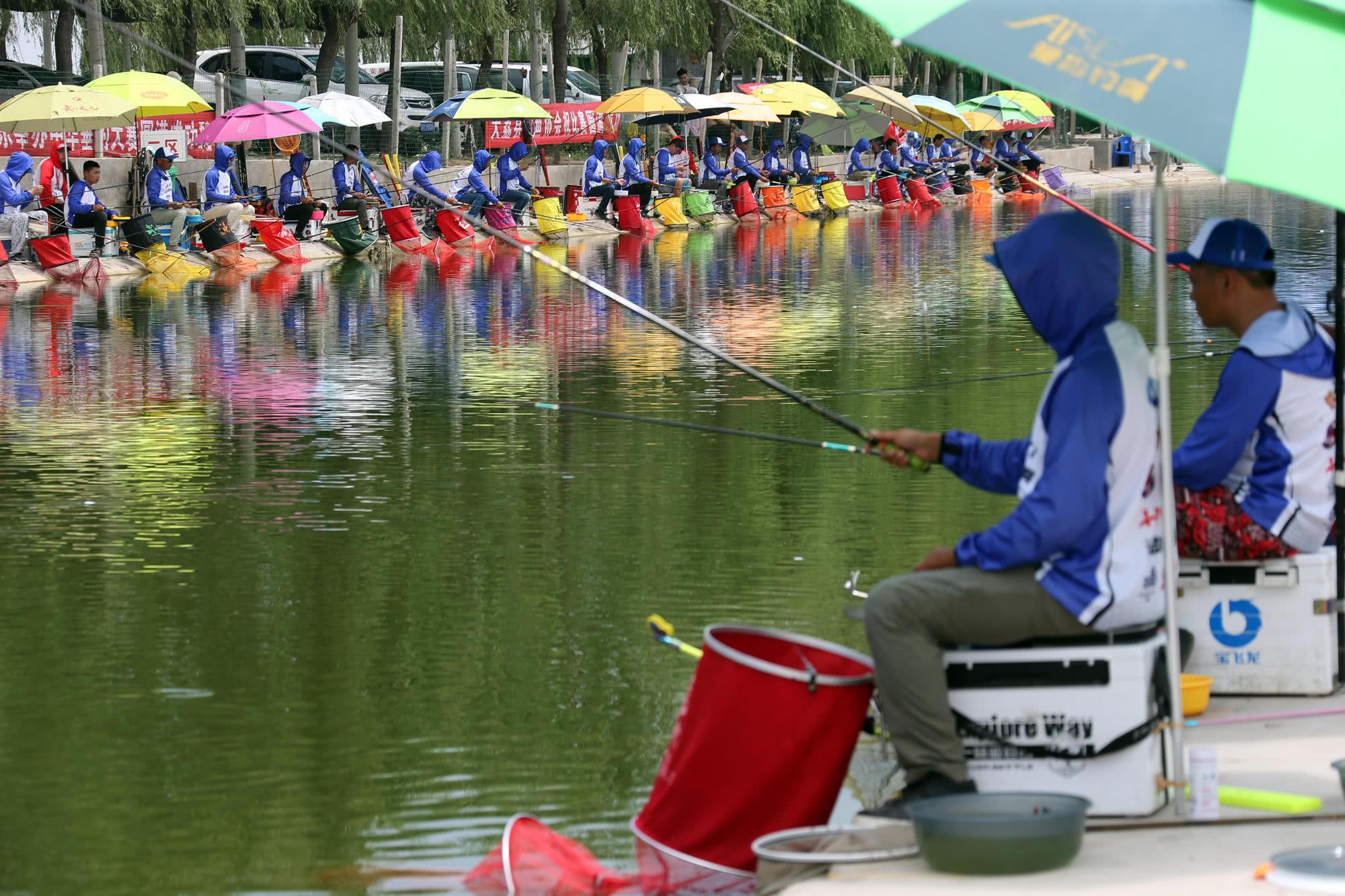 “香港斗漁”杯釣魚大賽在大荔成功舉辦 垂釣愛好者齊聚一堂